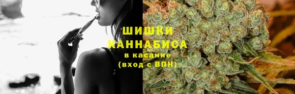 бошки Снежногорск