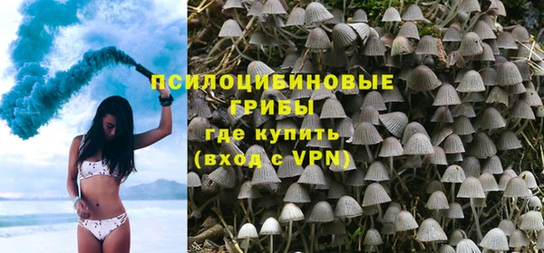 спиды Верея