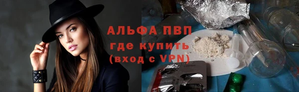 гидра Верхний Тагил
