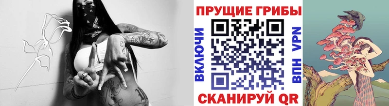 Галлюциногенные грибы прущие грибы  Дудинка 